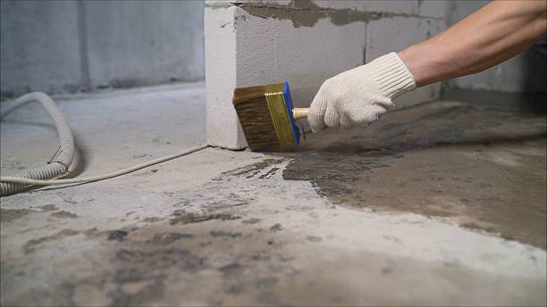 Top rated local Basement Waterproofing specialists in Cedar Hill, TN